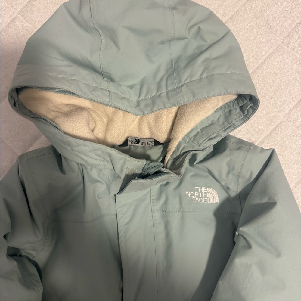 The North Face Hooded Parka in Sage - Picture 3 of 10